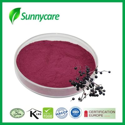 Чёрный эльдерберри экстракт порошок из Sambucus nigra для иммунитета и жизнеспособности