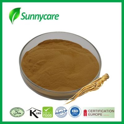 Dong Quai корневой экстракт порошок Angelica sinensis менструальное облегчение фармацевтическая промышленность