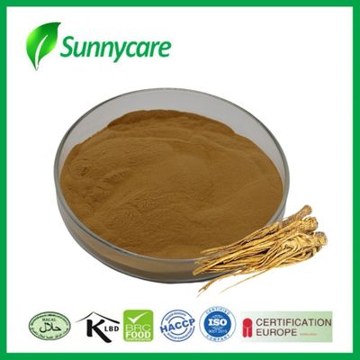 Dong Quai экстракт в порошке Angelica sinensis Здоровье печени и почек Растительные средства